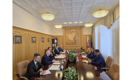 Консулын патентын хуулбараа барив